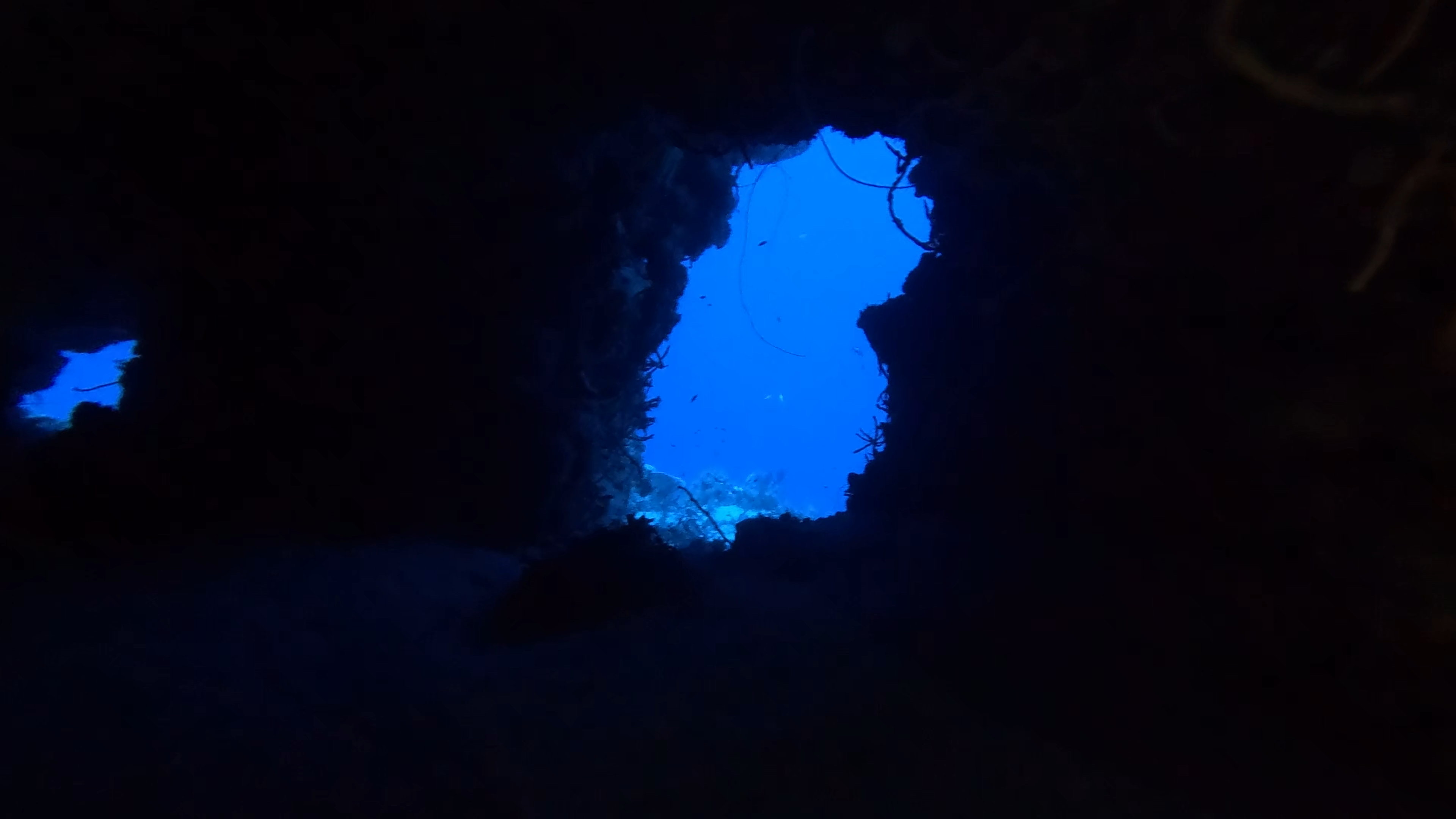 Devil’s Throat — flagship dive