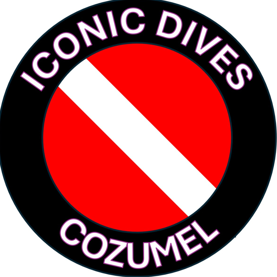 Iconic Dives Cozumel logo